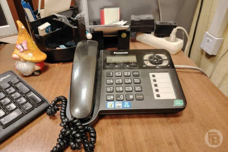 Более 200 волгоградцев обратились на горячую линию о защите прав потребителей