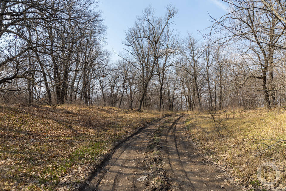Приметы и запреты 1 апреля в день Дарьи Грязной