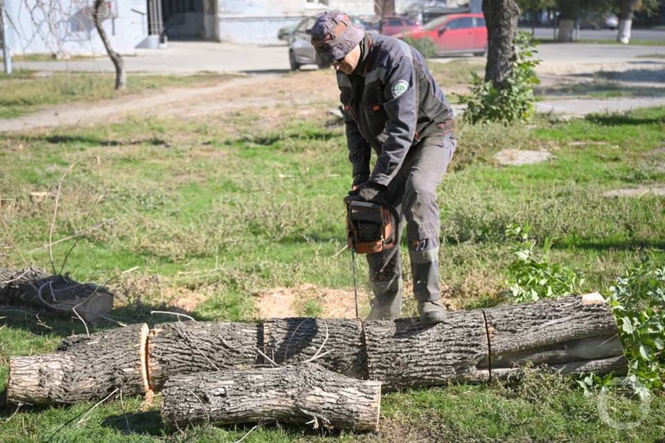 О штрафах за выброшенные в контейнерные баки ветки напомнили волгоградцам