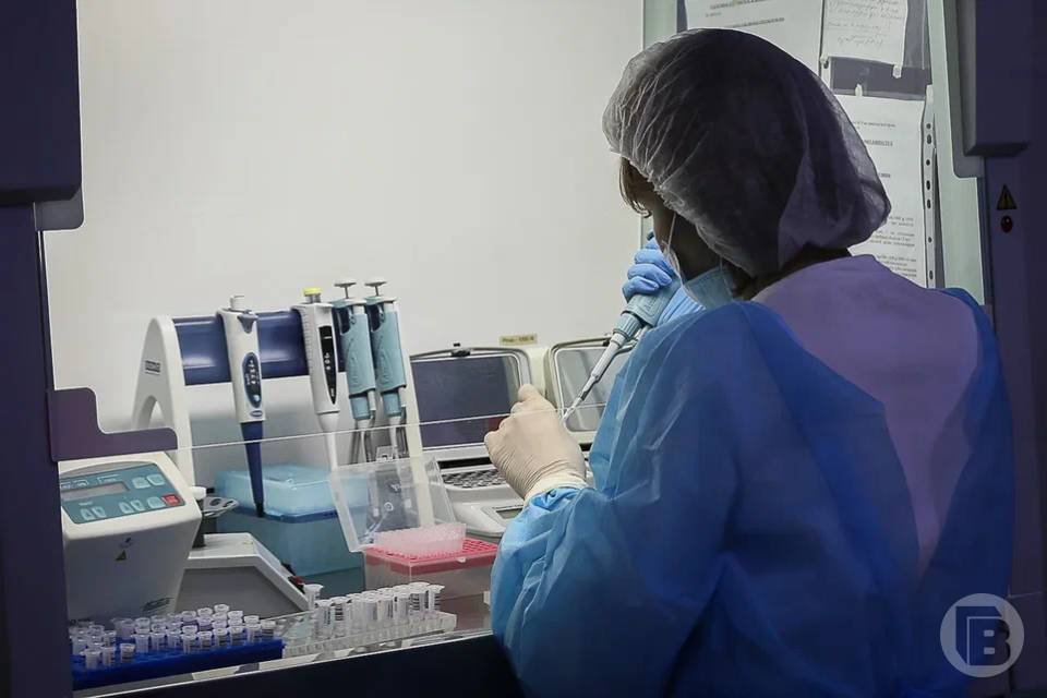 Волгоградские политехники работают над методом борьбы с раковыми клетками