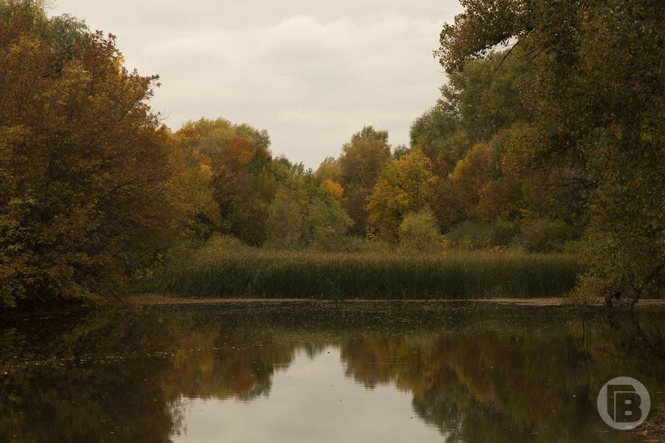 Что нельзя делать 2 апреля на Фотинью Колодезницу, чтобы не лишиться достатка