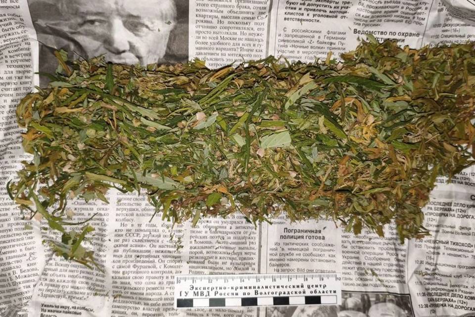 Полиция нашла наркотики в салоне машины под Волгоградом