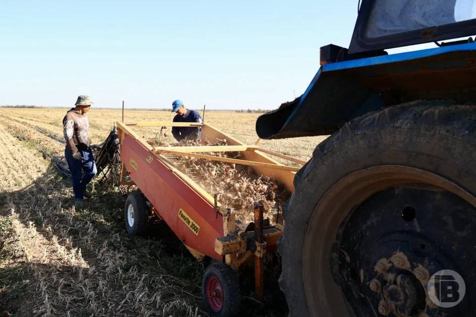 724,5 тысячи центнеров минеральных удобрений внесли на поля Волгоградской области