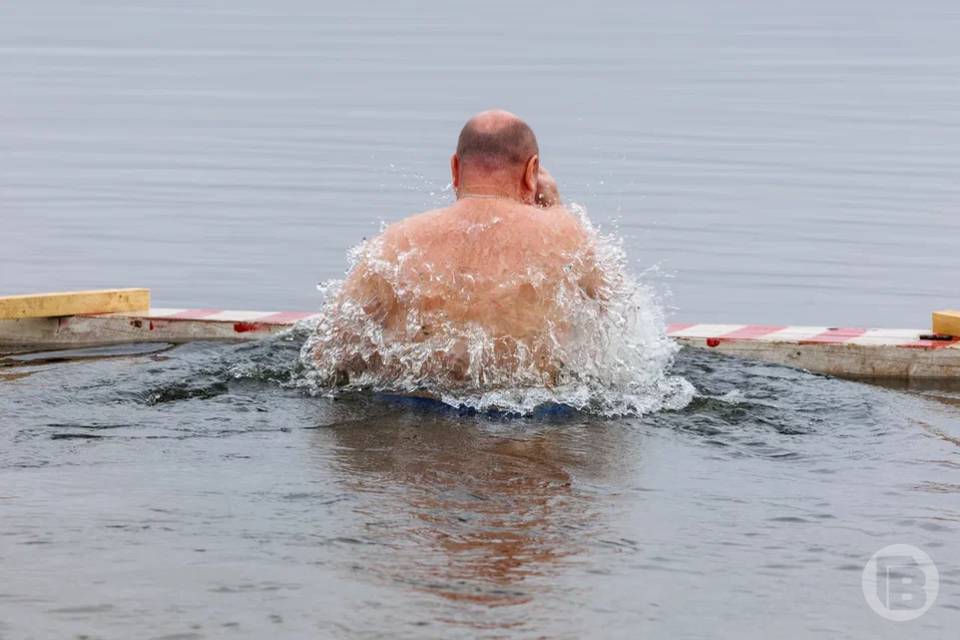 В Волжском моржи искупаются в реке и сыграют в волейбол
