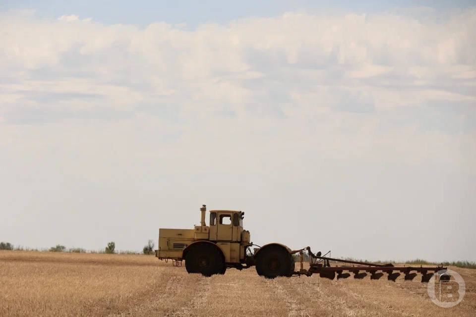 Весенняя полевая кампания набирает обороты на полях Волгоградской области