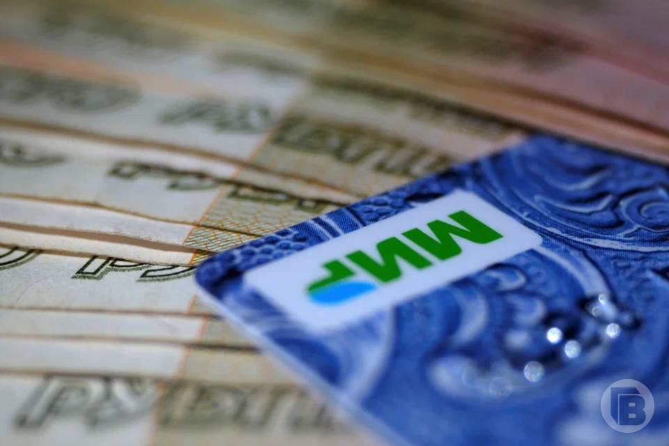 Волгоградцам рассказали об изменении учета алиментов при назначении единого пособия