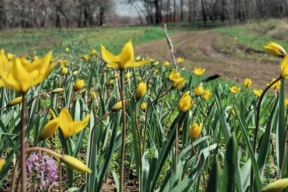 Фото: "Городские вести"