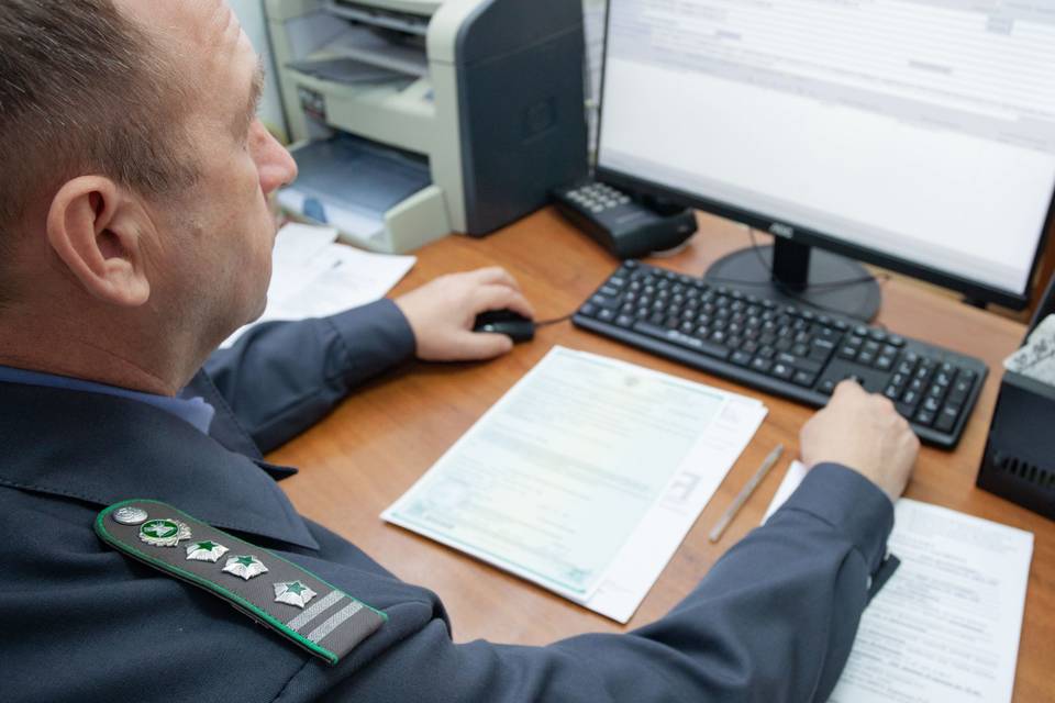 150 тонн подсолнечника неверно задекларировал ИП под Волгоградом