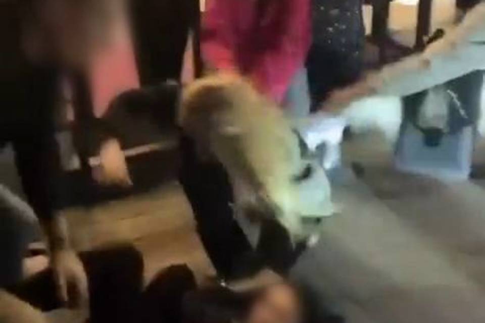 Девушки устроили массовую драку у клуба в Волгограде