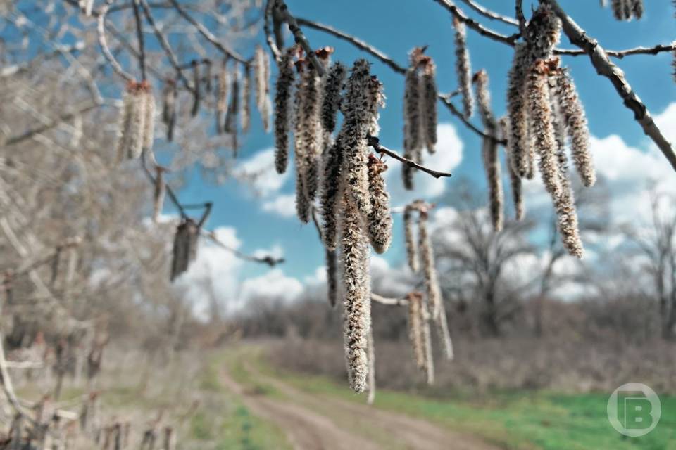 Что строго запрещено делать 8 апреля ради ближних