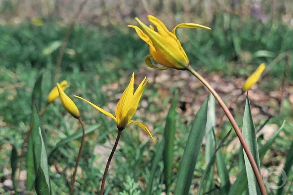 В мае у волгоградцев будет всего 19 рабочих дней