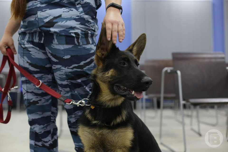 Прохожий угнал машину у волгоградки, пока она грузила вещи в багажник