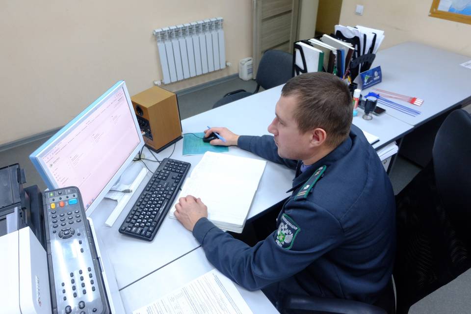 750 тонн кукурузы неверно задекларировало юрлицо под Волгоградом