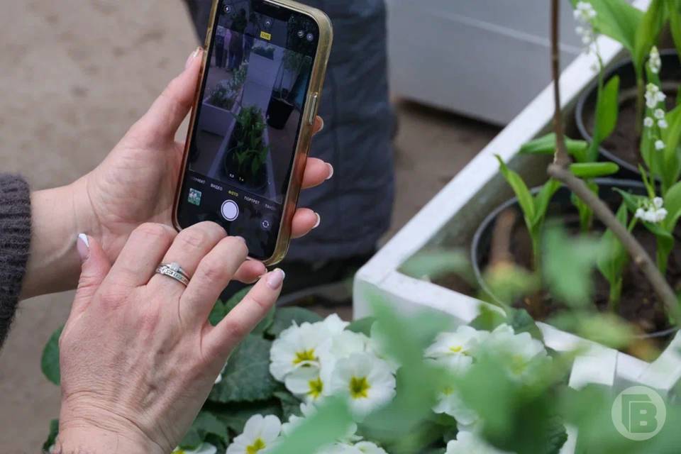 Массовый сбой в Telegram 10 апреля эксперты назвали фейковым