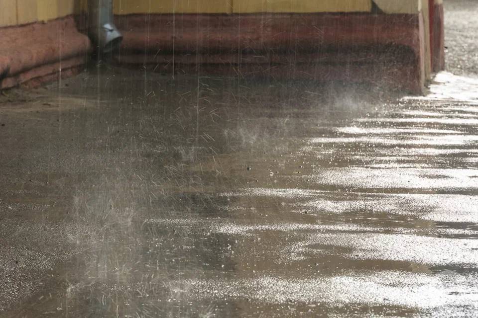 Какой будет погода в Волгограде 11 апреля, рассказали синоптики