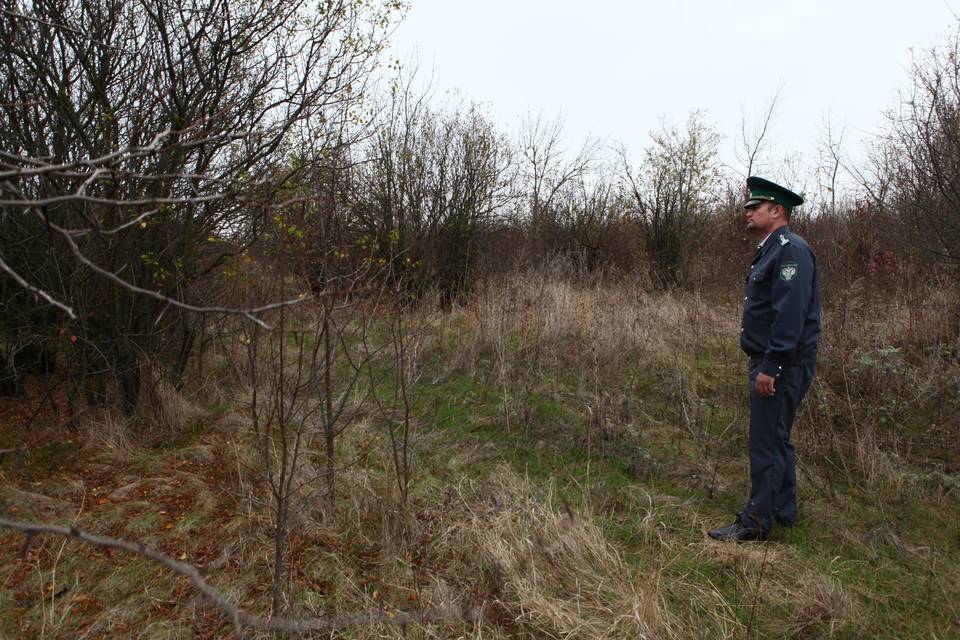 30 га сельхозугодий заросли сорняками под Волгоградом
