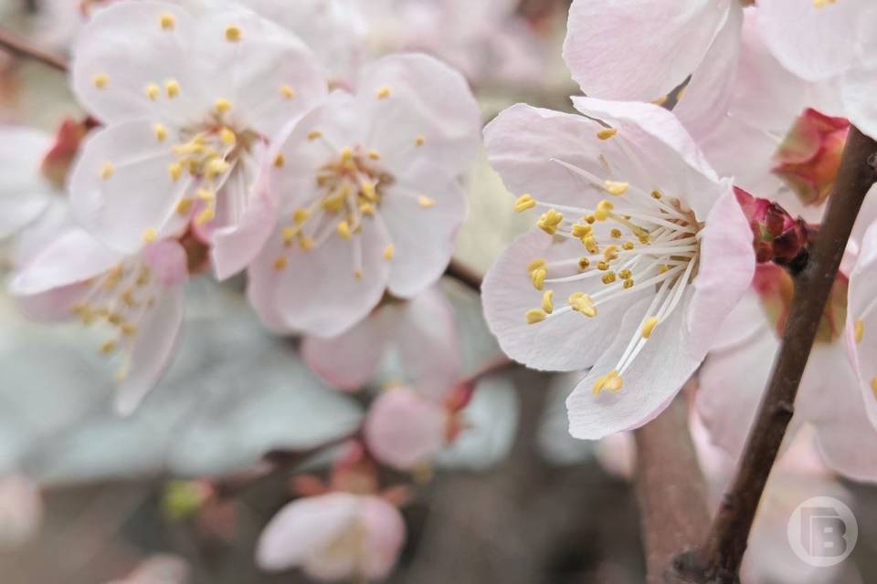 Купальный сезон в Волгограде может наступить раньше обычного