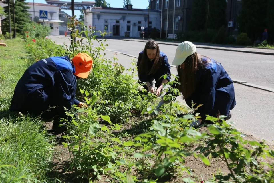Волгоградцы смогут проголосовать за благоустройство 8 общественных пространств