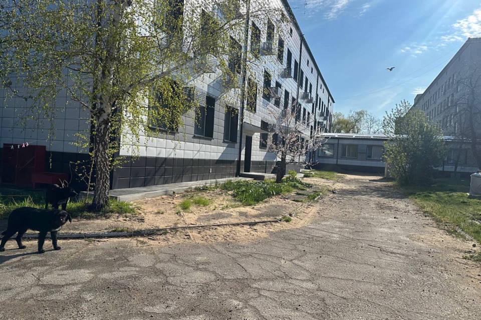 фото: облкомдортранс