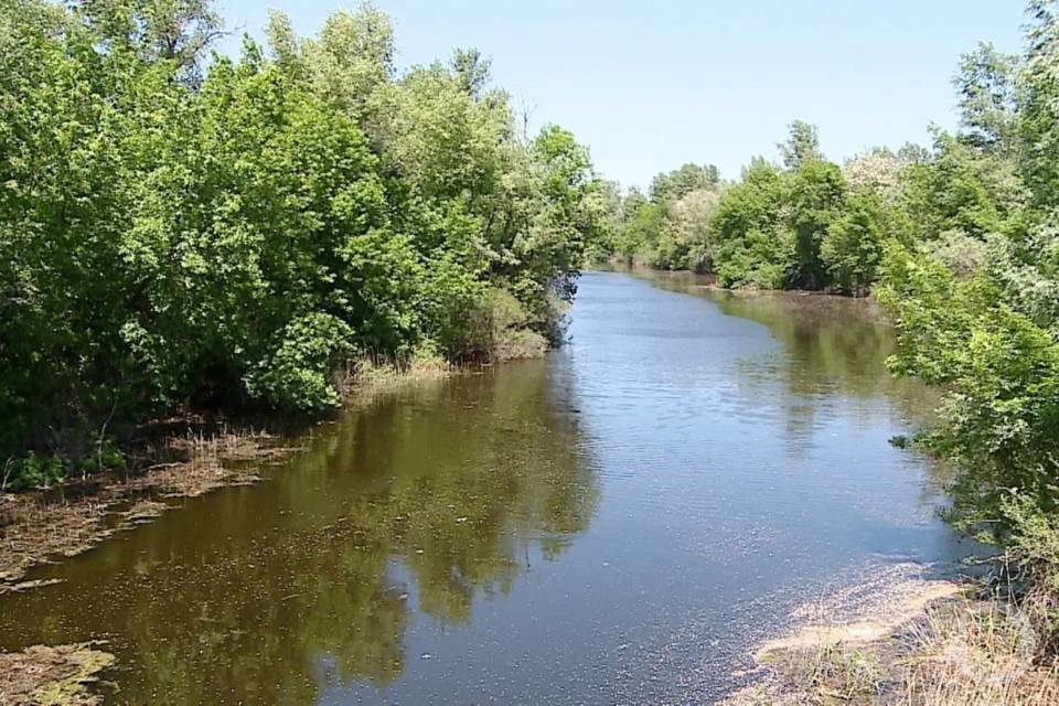 Под Волгоградом закрыли паромную переправу на Дону