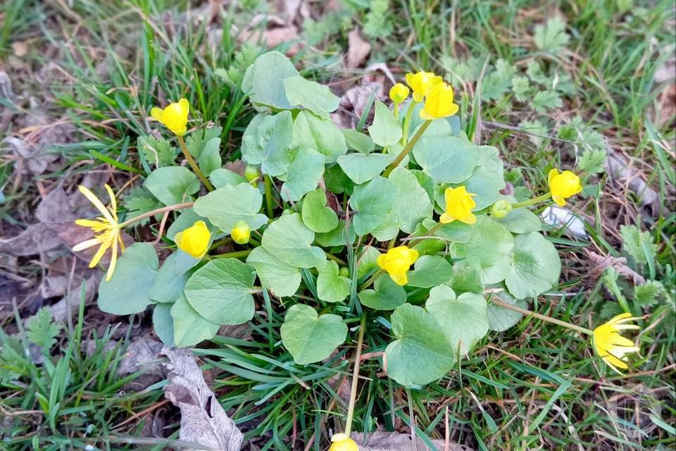 Что делать 15 апреля, чтобы не потерять деньги и удачу - народные приметы