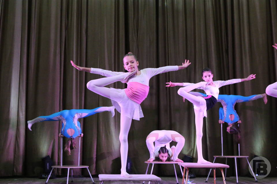 «Это любовь!»: детской цирковой студии Дзержинского района исполнится 35 лет