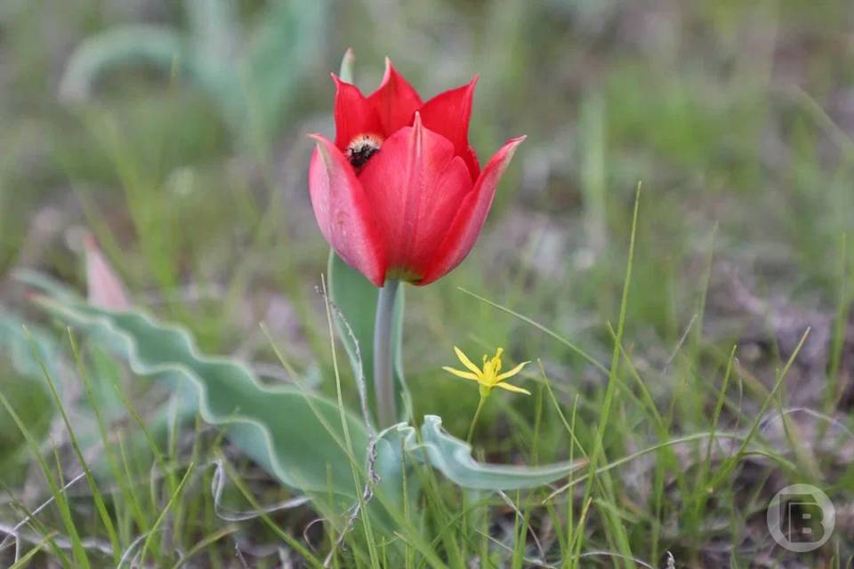 Что нужно делать 16 апреля, чтобы привлечь счастье