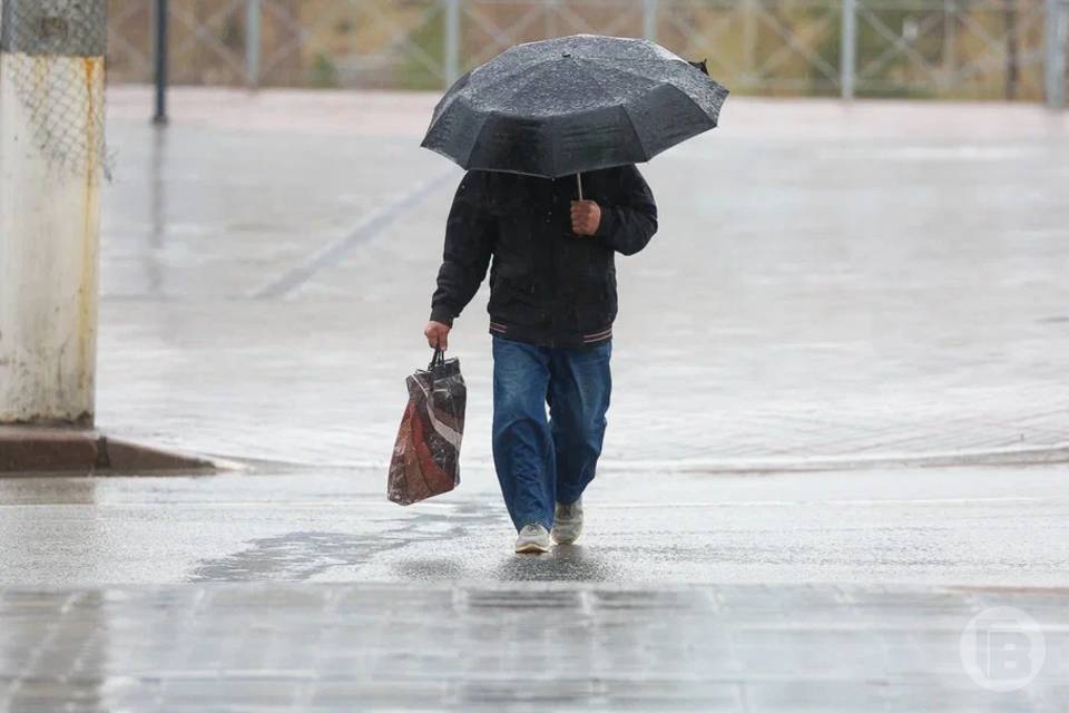 Туманы накроют Волгоград 16 апреля