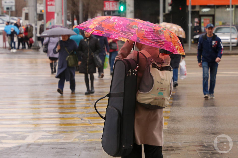 Дожди и грозы обещают волгоградцам 16 апреля