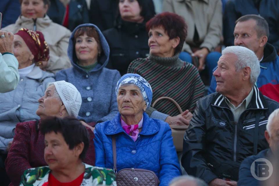 Из чего формируется страховая пенсия, напомнили волгоградцам