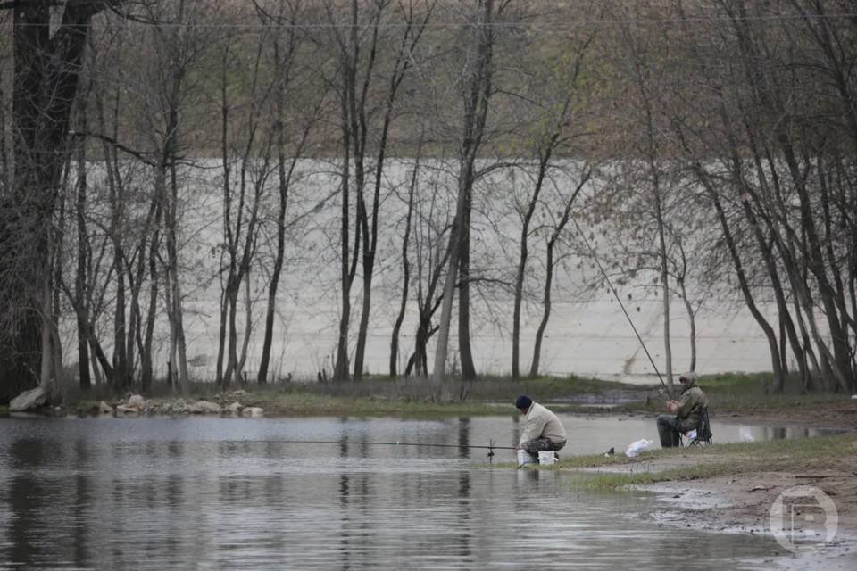 Заморозки до -2 ударили по Волгоградской области ночью 18 апреля