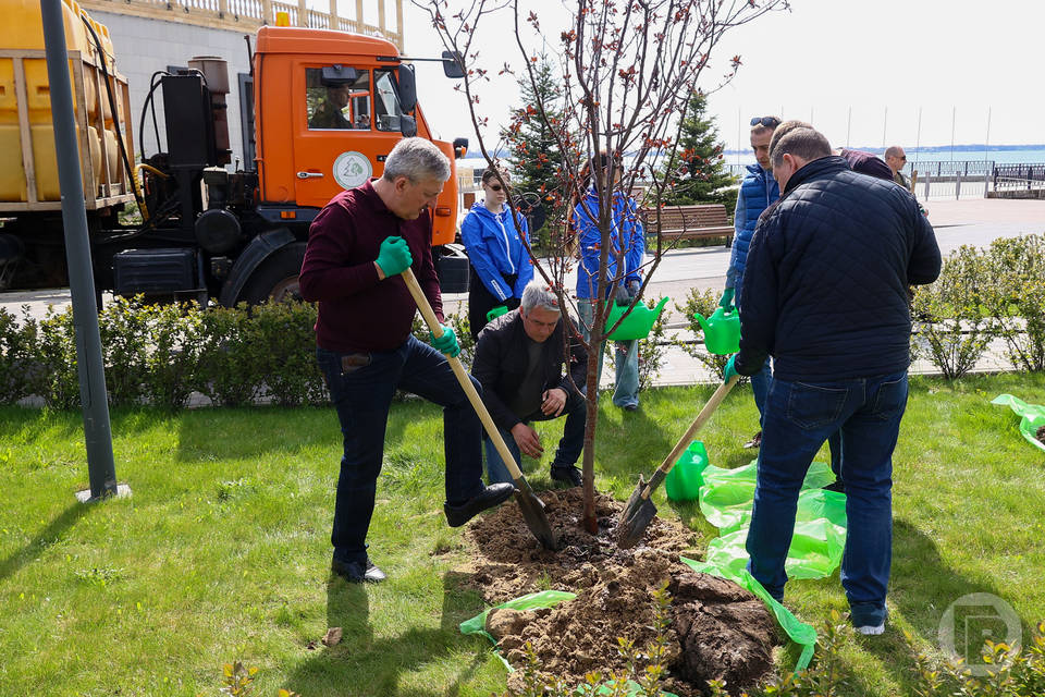 Фото: Дмитрий Рогулин / "Городские вести"