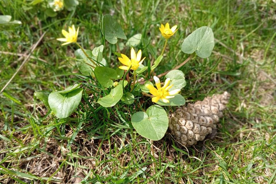 Дождливая неделя идет на Волгоград