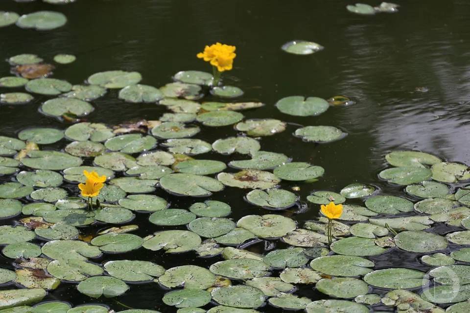 Акулинин день: чего не стоит делать 20 апреля