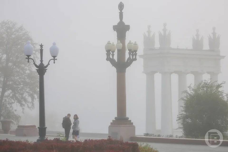 До 0º похолодает в Волгоградской области 20 апреля