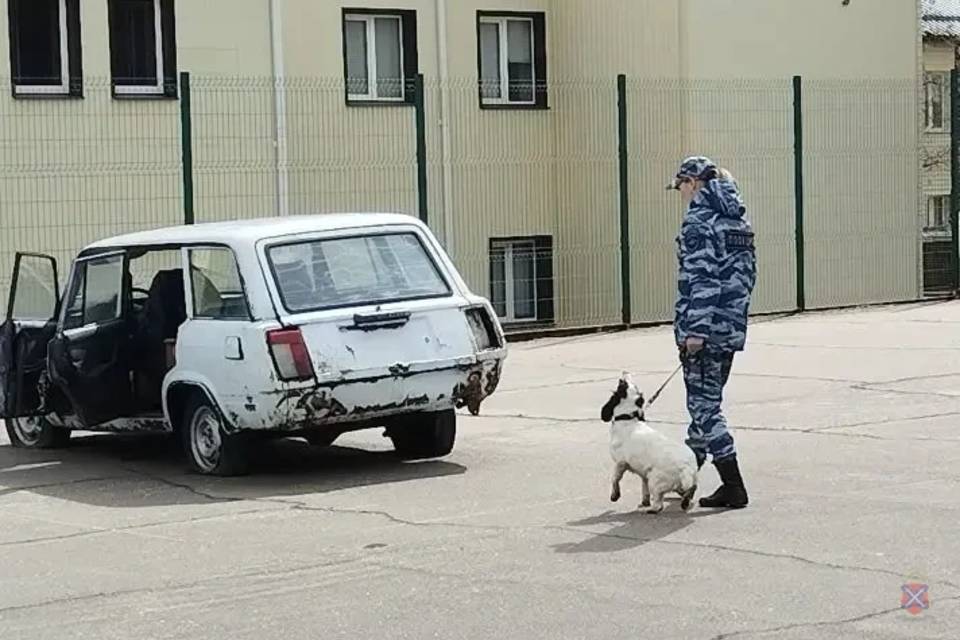 Студенты побывали в полицейском центре кинологов под Волгоградом