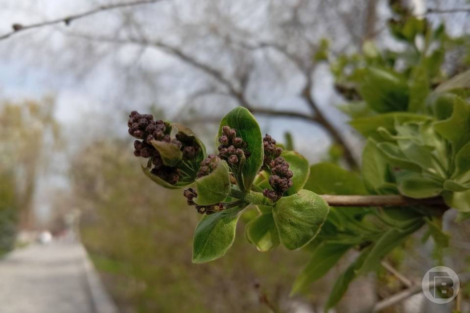 Что запрещено 21 апреля, в день Родиона Ледолома, ради себя и веры
