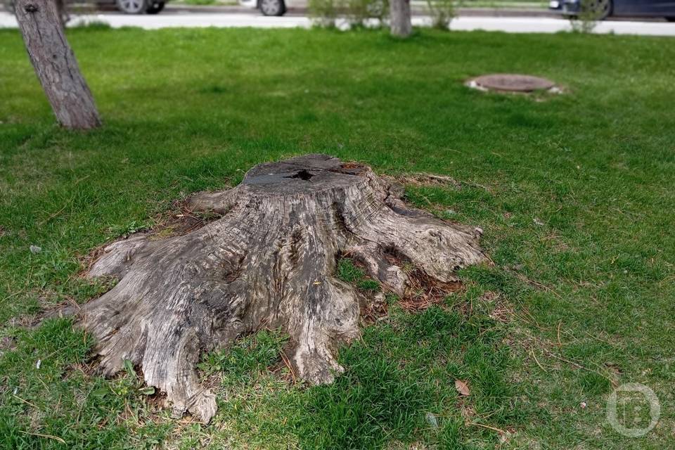 Когда потеплеет в Волгограде