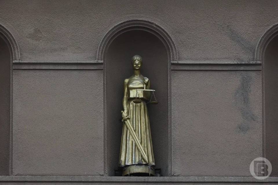 Суд под Волгоградом заключил под стражу 19-летнего мошенника