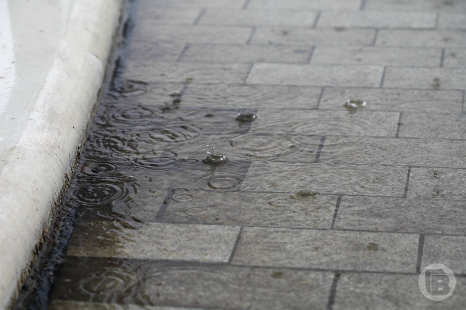 Дожди зарядят в Волгограде до конца апреля: прогноз