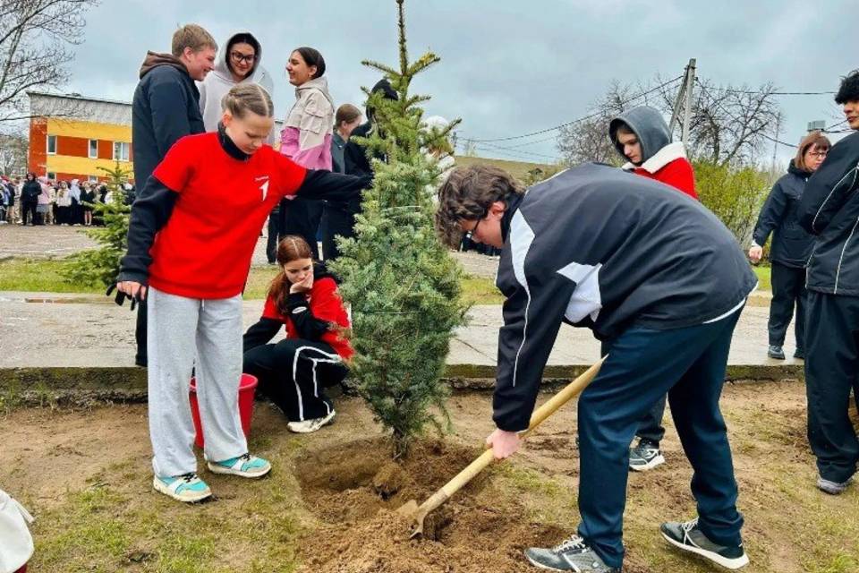 В Камышине школьники высадили аллею в память о Герое России