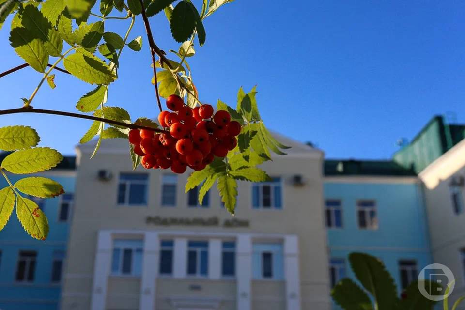 Больше ста единиц современной аппаратуры поступят в перинатальный центр Волгограда