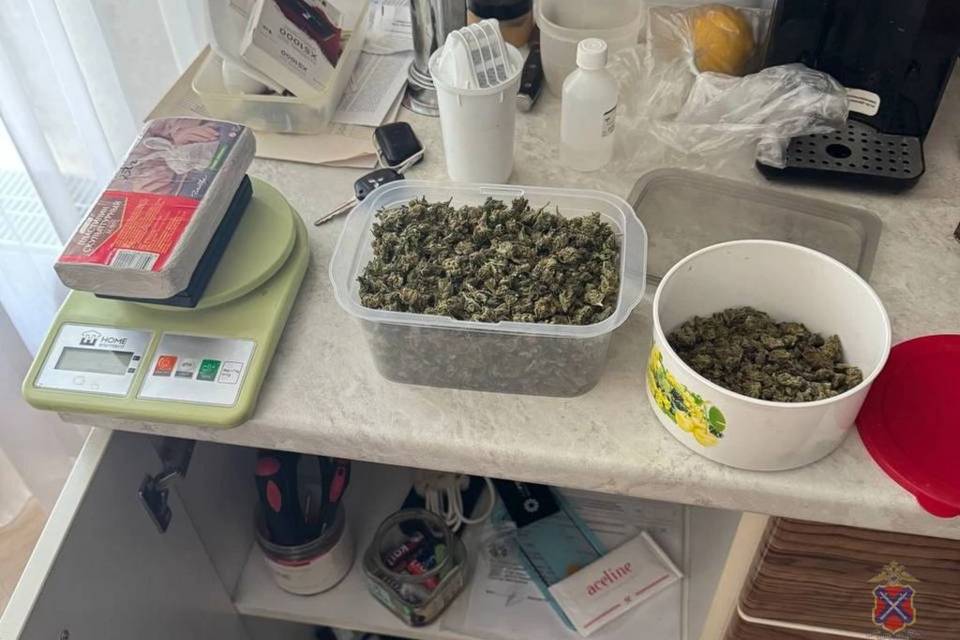 Двух волгоградцев подозревают в попытке незаконного сбыта наркотиков