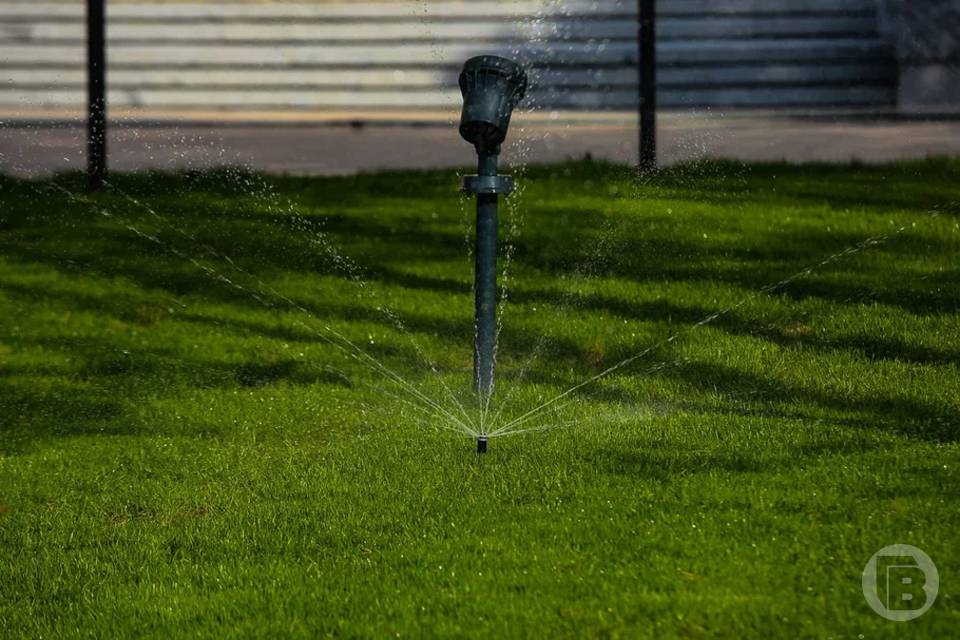 В волгоградском ЦПКиО расстилают газоны