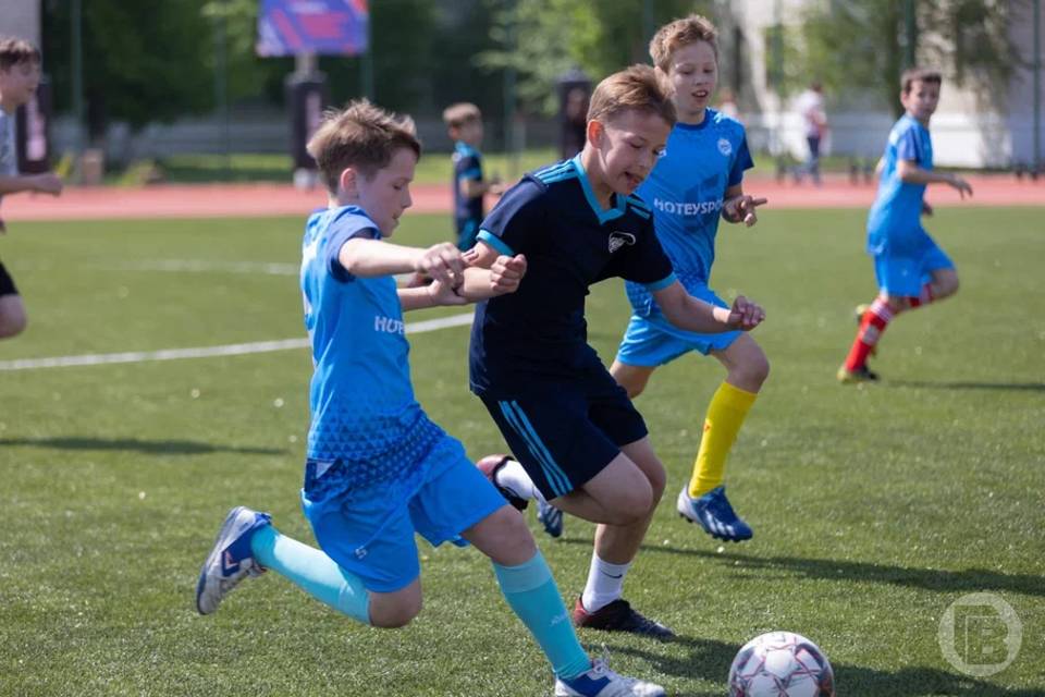 В Волгограде посоревновались 770 студентов колледжей и техникумов