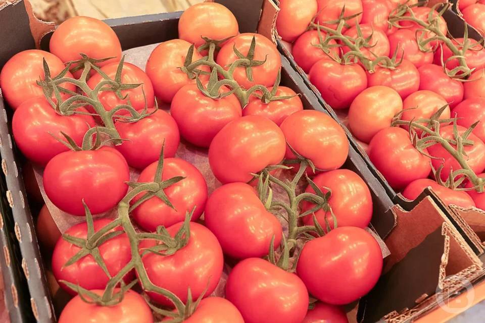 Волгоградстат отчитался о падении цен на огурцы и помидоры