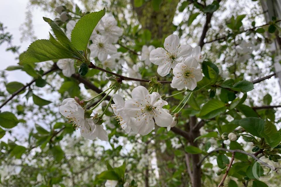 Вернется ли тепло в Волгоград в конце апреля: прогноз на конец месяца