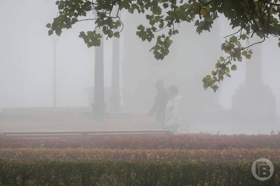 Сильные порывы ветра накроют Волгоград 24 апреля