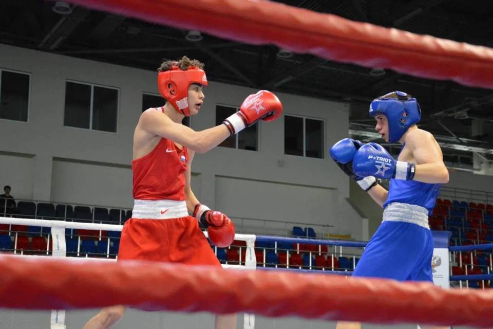 24 медали завоевали волгоградские боксеры на домашнем первенстве ЮФО