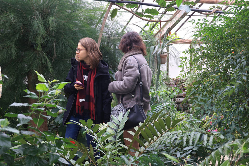 Перечень опасных растений утвердили в Волгоградской области